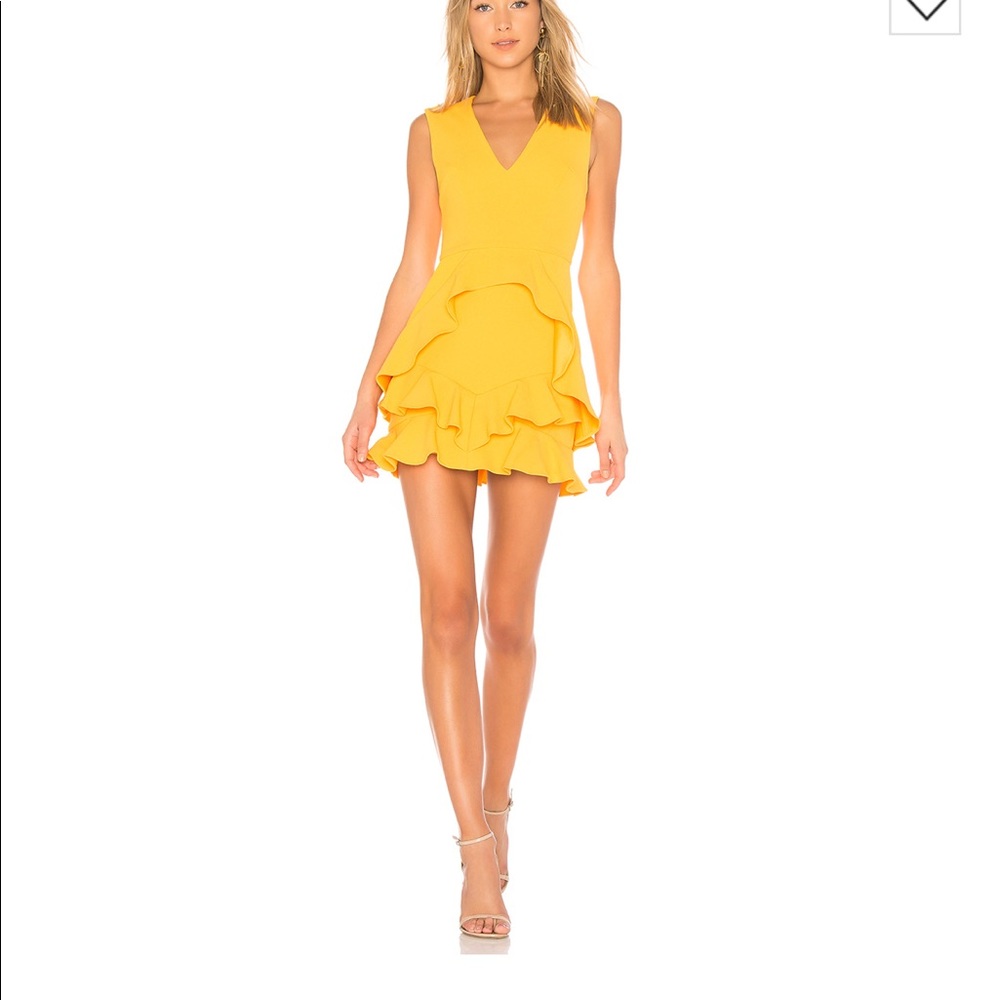 REVOLVE Rebecca Vallance Havana Mini Dress